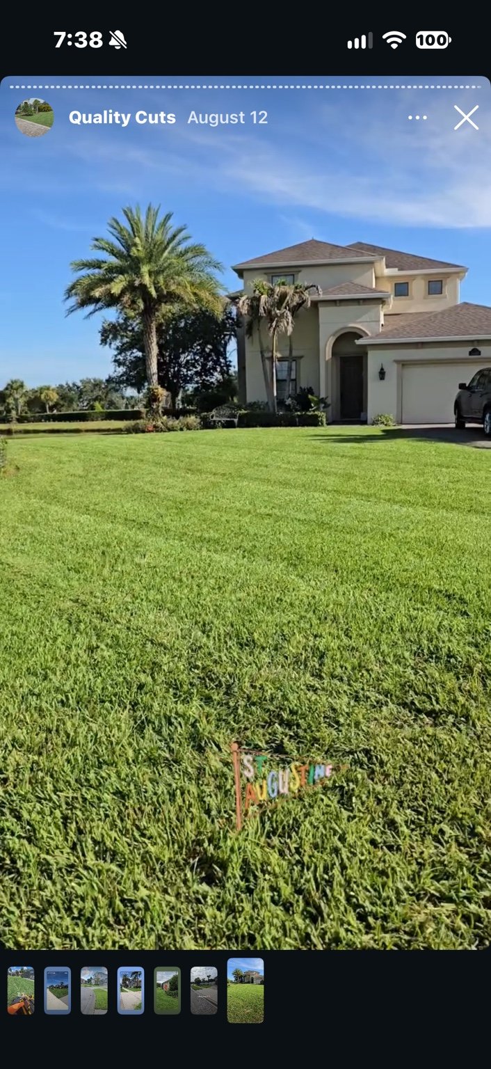 Maintained green residential lawn