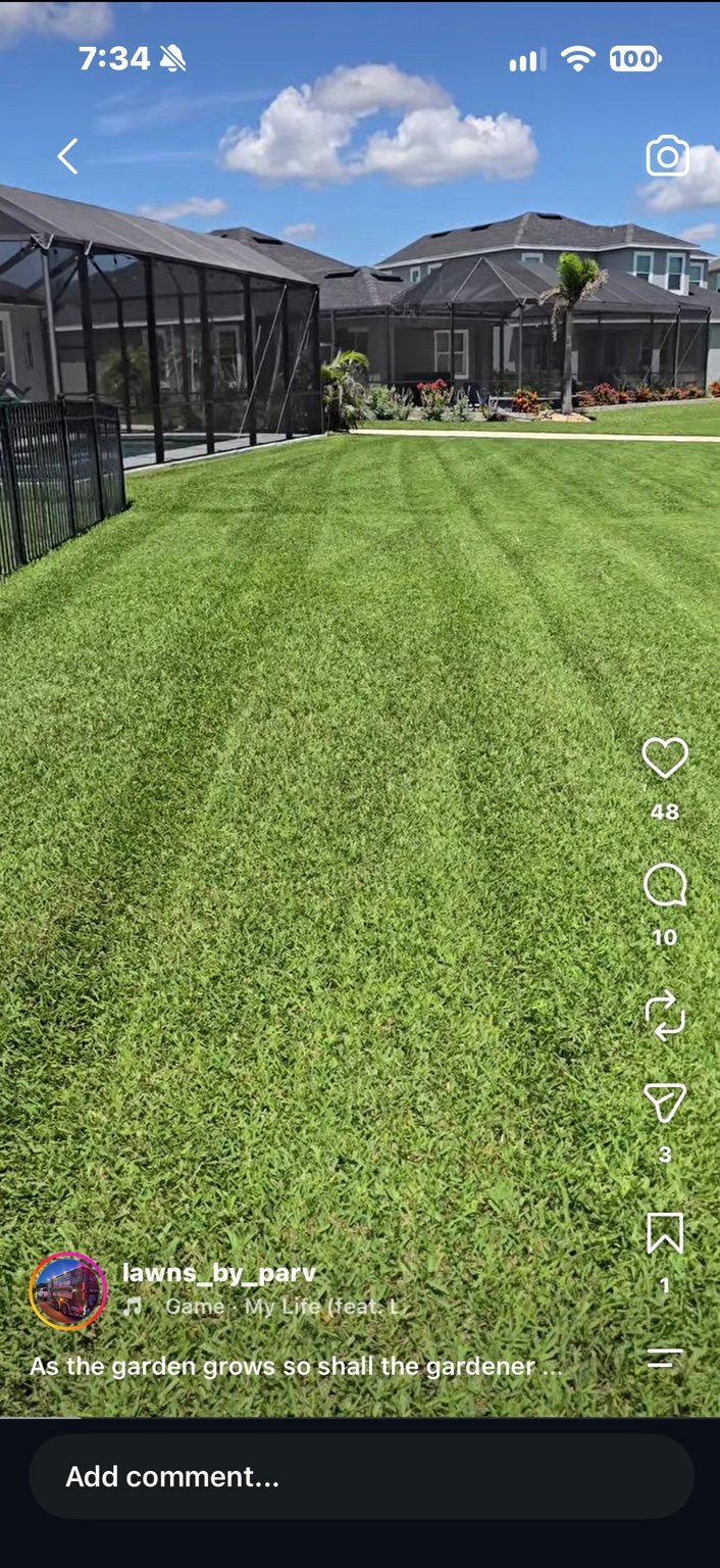Large maintained lawn